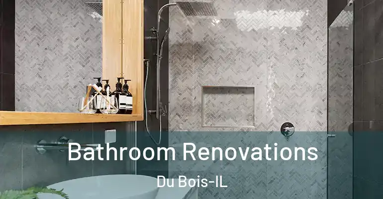 inner Bathroom imggen Bathroom Renovations Du Bois-IL