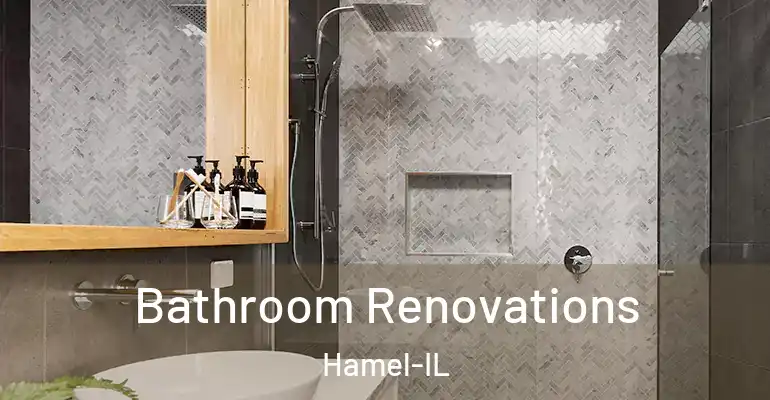 inner Bathroom imggen Bathroom Renovations Hamel-IL