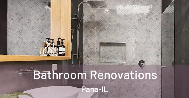 inner Bathroom imggen Bathroom Renovations Pana-IL