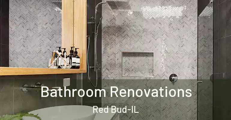 inner Bathroom imggen Bathroom Renovations Red Bud-IL