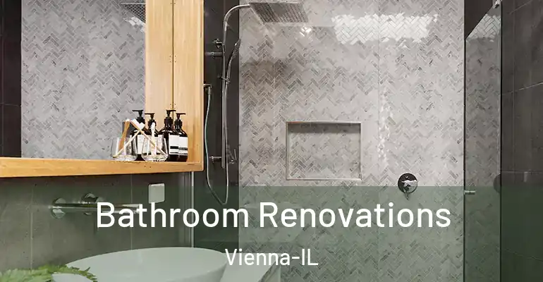 inner Bathroom imggen Bathroom Renovations Vienna-IL