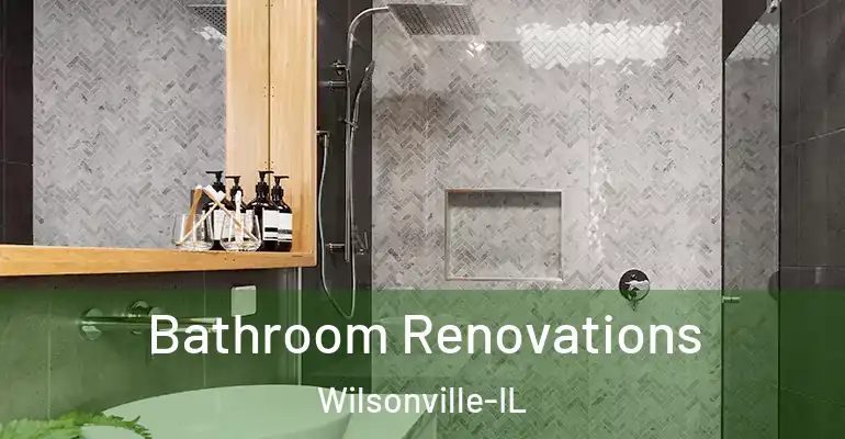 inner Bathroom imggen Bathroom Renovations Wilsonville-IL