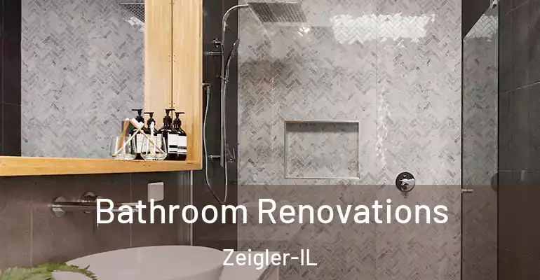 inner Bathroom imggen Bathroom Renovations Zeigler-IL