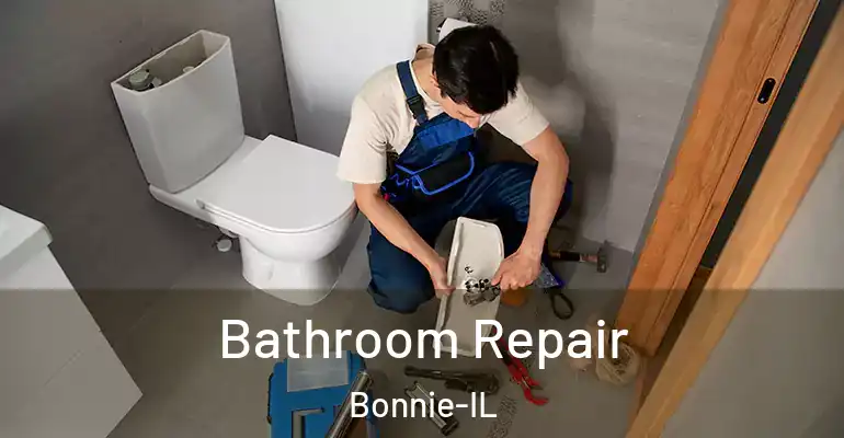 inner Bathroom imggen Bathroom Repair Bonnie-IL
