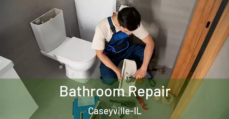 inner Bathroom imggen Bathroom Repair Caseyville-IL