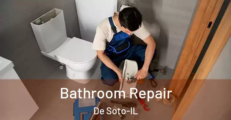 inner Bathroom imggen Bathroom Repair De Soto-IL