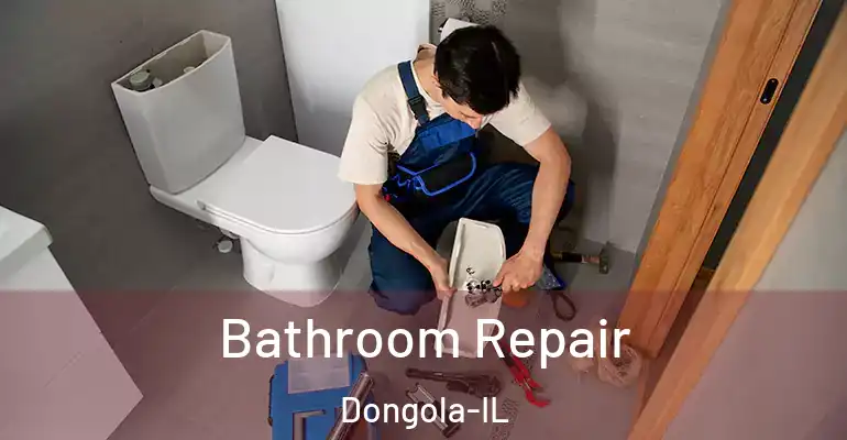 inner Bathroom imggen Bathroom Repair Dongola-IL