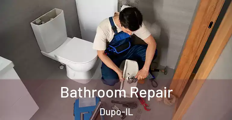 inner Bathroom imggen Bathroom Repair Dupo-IL