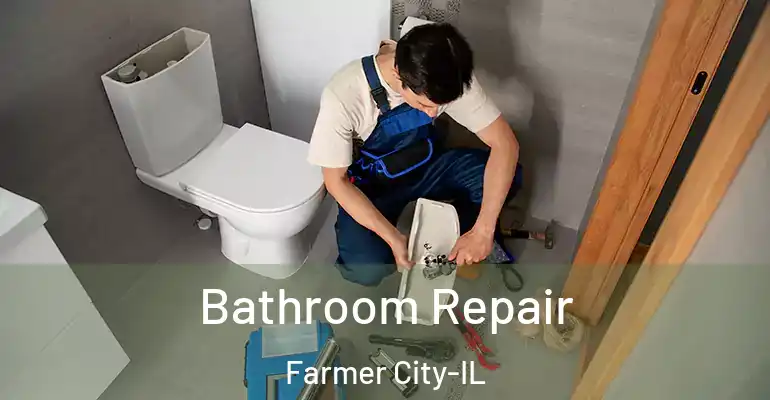 inner Bathroom imggen Bathroom Repair Farmer City-IL