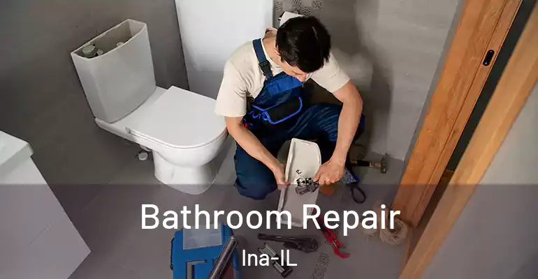 inner Bathroom imggen Bathroom Repair Ina-IL