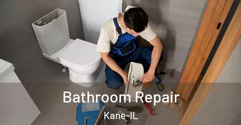 inner Bathroom imggen Bathroom Repair Kane-IL