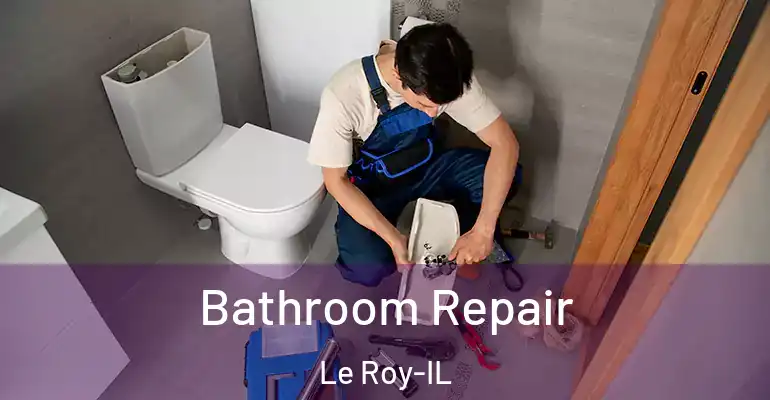 inner Bathroom imggen Bathroom Repair Le Roy-IL