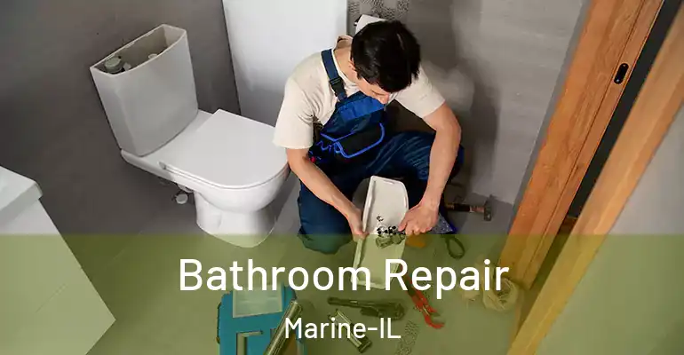 inner Bathroom imggen Bathroom Repair Marine-IL