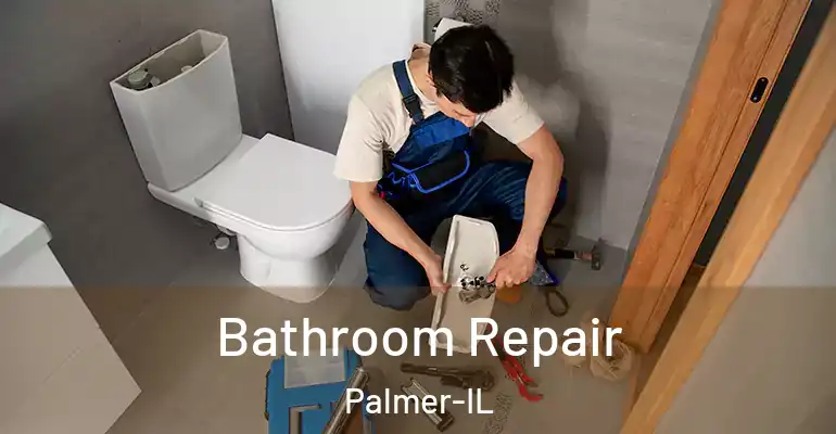 inner Bathroom imggen Bathroom Repair Palmer-IL