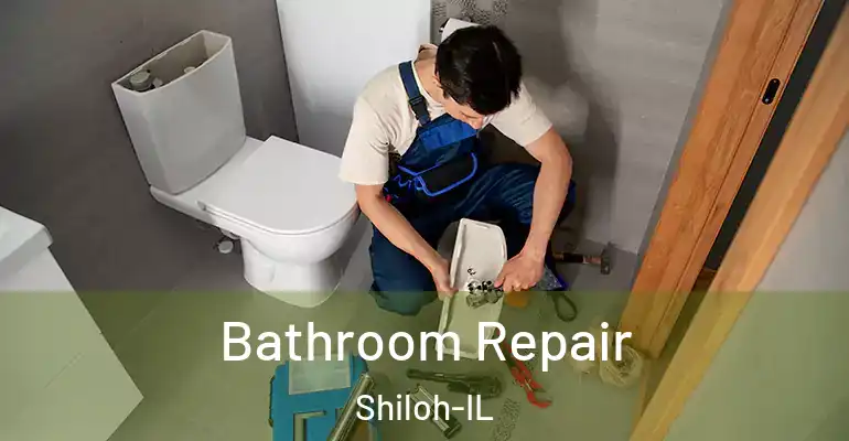 inner Bathroom imggen Bathroom Repair Shiloh-IL