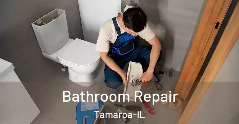inner Bathroom imggen Bathroom Repair Tamaroa-IL