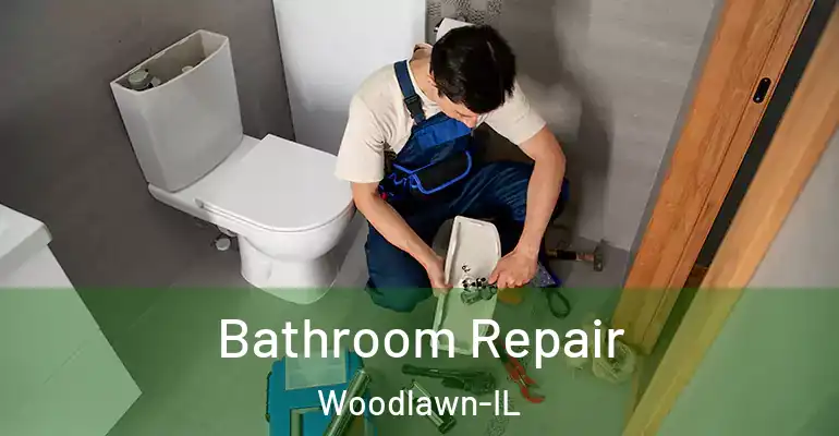 inner Bathroom imggen Bathroom Repair Woodlawn-IL