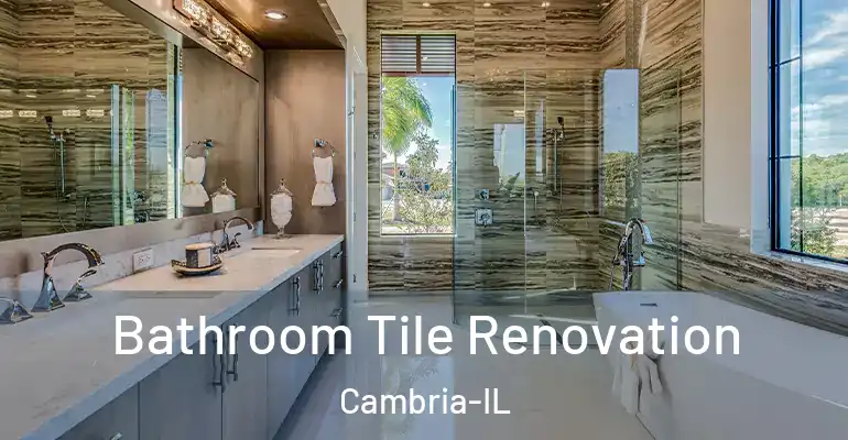 inner Bathroom imggen Bathroom Tile Renovation Cambria-IL