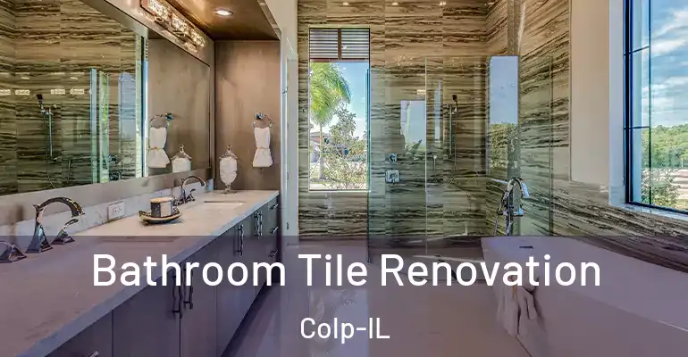 inner Bathroom imggen Bathroom Tile Renovation Colp-IL