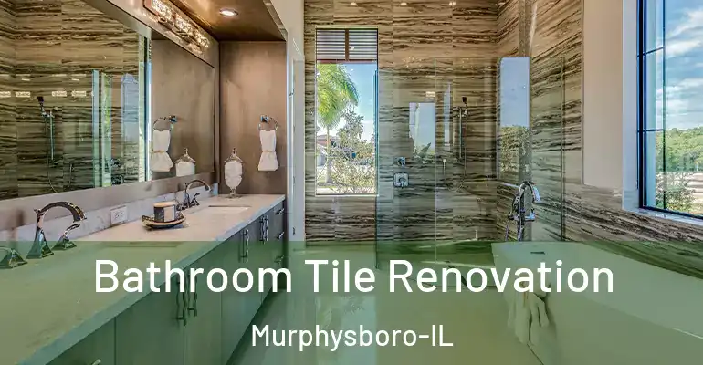 inner Bathroom imggen Bathroom Tile Renovation Murphysboro-IL