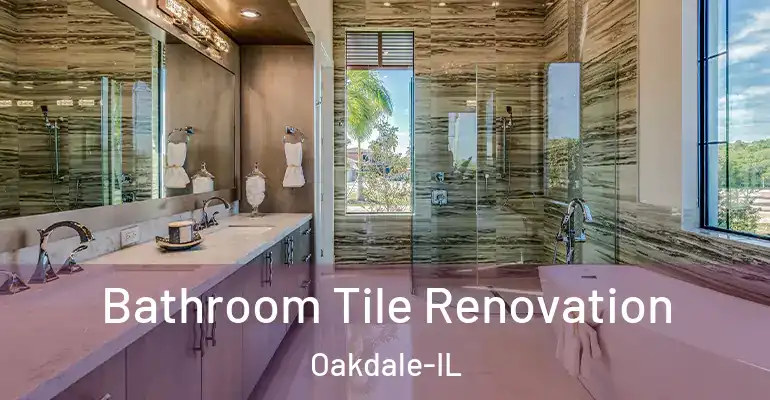 inner Bathroom imggen Bathroom Tile Renovation Oakdale-IL