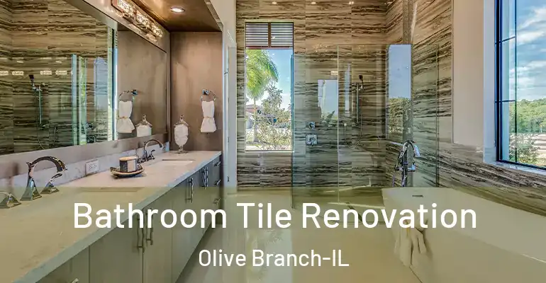 inner Bathroom imggen Bathroom Tile Renovation Olive Branch-IL