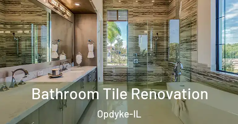 inner Bathroom imggen Bathroom Tile Renovation Opdyke-IL