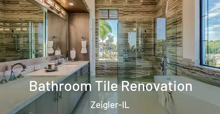 inner Bathroom imggen Bathroom Tile Renovation Zeigler-IL