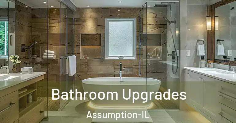 inner Bathroom imggen Bathroom Upgrades Assumption-IL