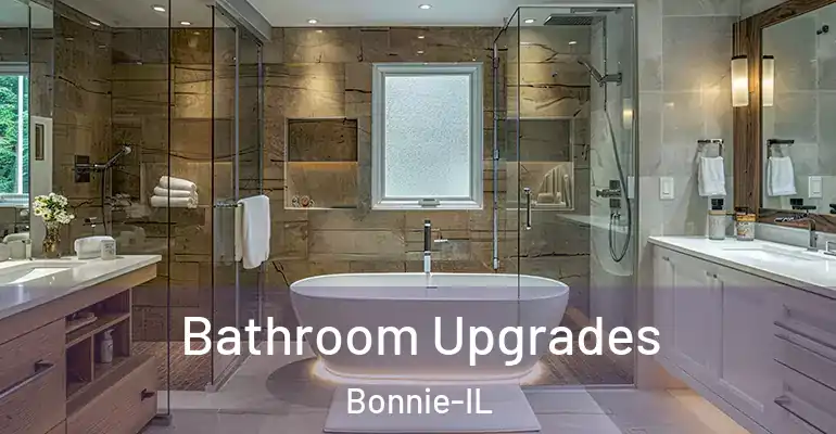 inner Bathroom imggen Bathroom Upgrades Bonnie-IL