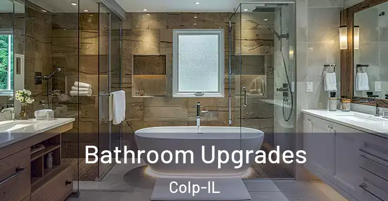 inner Bathroom imggen Bathroom Upgrades Colp-IL