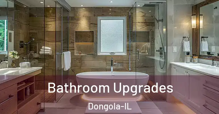 inner Bathroom imggen Bathroom Upgrades Dongola-IL