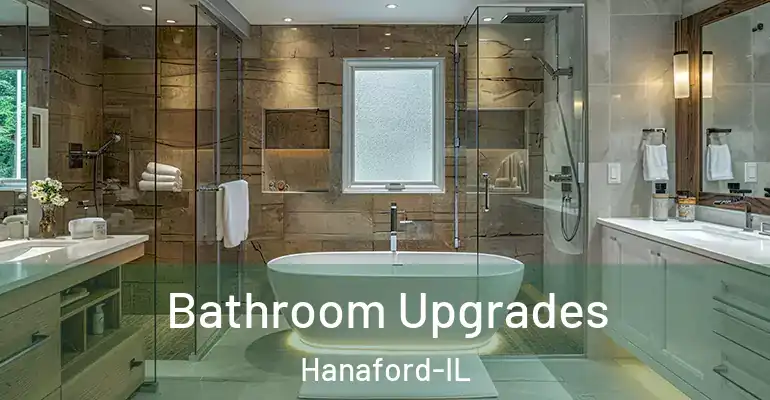 inner Bathroom imggen Bathroom Upgrades Hanaford-IL
