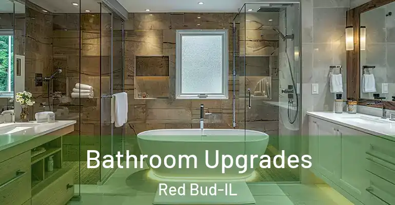 inner Bathroom imggen Bathroom Upgrades Red Bud-IL