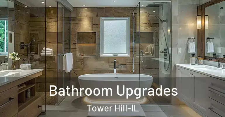 inner Bathroom imggen Bathroom Upgrades Tower Hill-IL