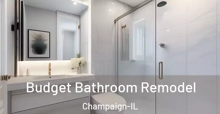 inner Bathroom imggen Budget Bathroom Remodel Champaign-IL