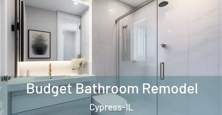 inner Bathroom imggen Budget Bathroom Remodel Cypress-IL