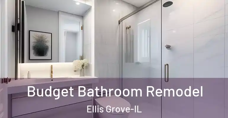 inner Bathroom imggen Budget Bathroom Remodel Ellis Grove-IL