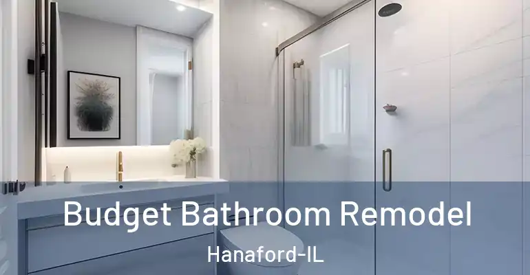 inner Bathroom imggen Budget Bathroom Remodel Hanaford-IL