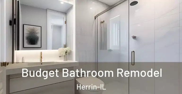 inner Bathroom imggen Budget Bathroom Remodel Herrin-IL