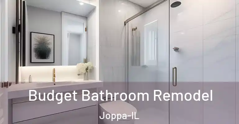 inner Bathroom imggen Budget Bathroom Remodel Joppa-IL