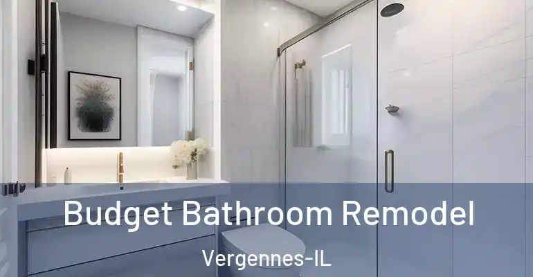 inner Bathroom imggen Budget Bathroom Remodel Vergennes-IL