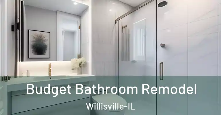 inner Bathroom imggen Budget Bathroom Remodel Willisville-IL