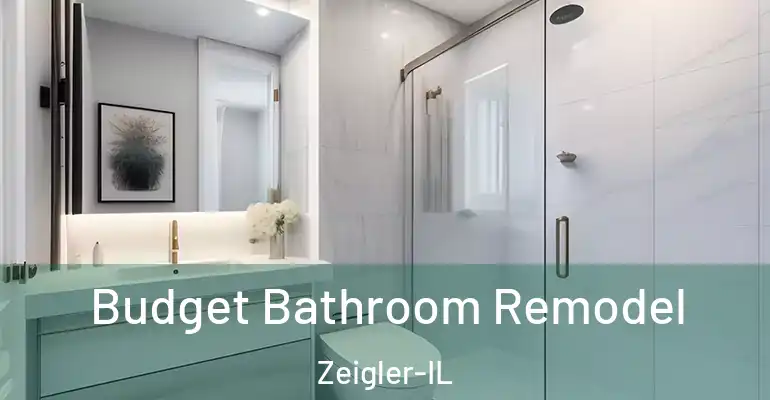 inner Bathroom imggen Budget Bathroom Remodel Zeigler-IL