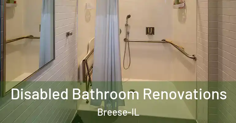 inner Bathroom imggen Disabled Bathroom Renovations Breese-IL