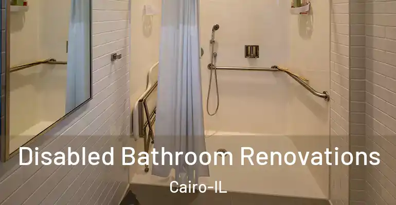 inner Bathroom imggen Disabled Bathroom Renovations Cairo-IL
