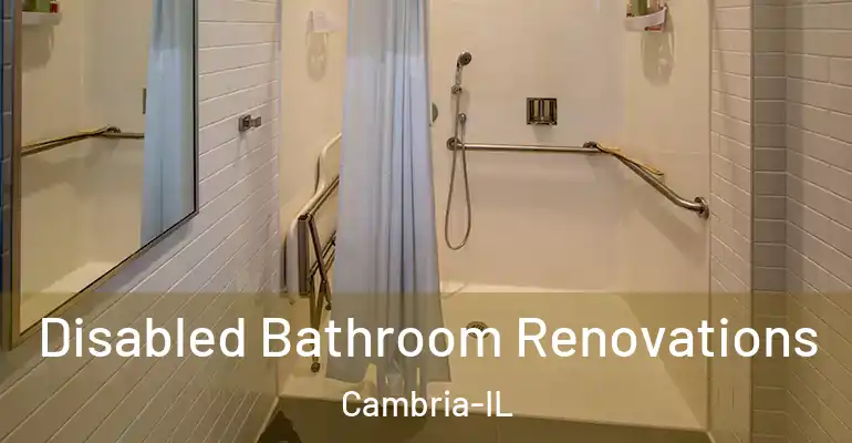 inner Bathroom imggen Disabled Bathroom Renovations Cambria-IL