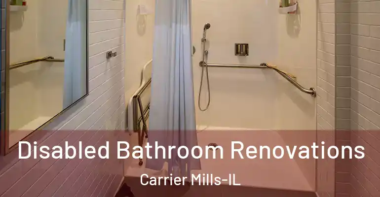 inner Bathroom imggen Disabled Bathroom Renovations Carrier Mills-IL