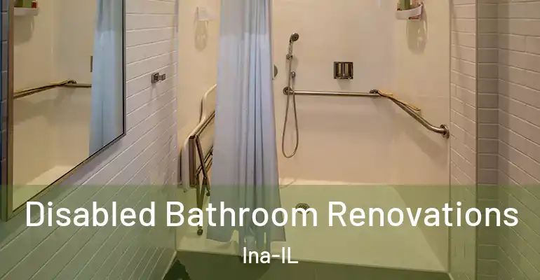 inner Bathroom imggen Disabled Bathroom Renovations Ina-IL