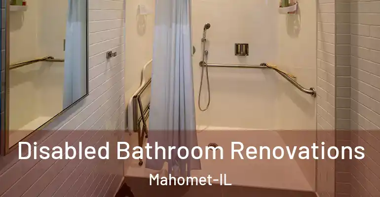 inner Bathroom imggen Disabled Bathroom Renovations Mahomet-IL